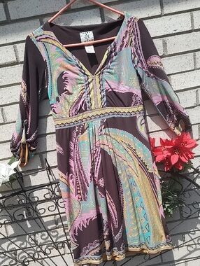 Fall Brown/Pink Dress